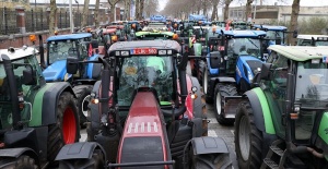 Hollanda çiftçilerinden Brüksel'de protesto